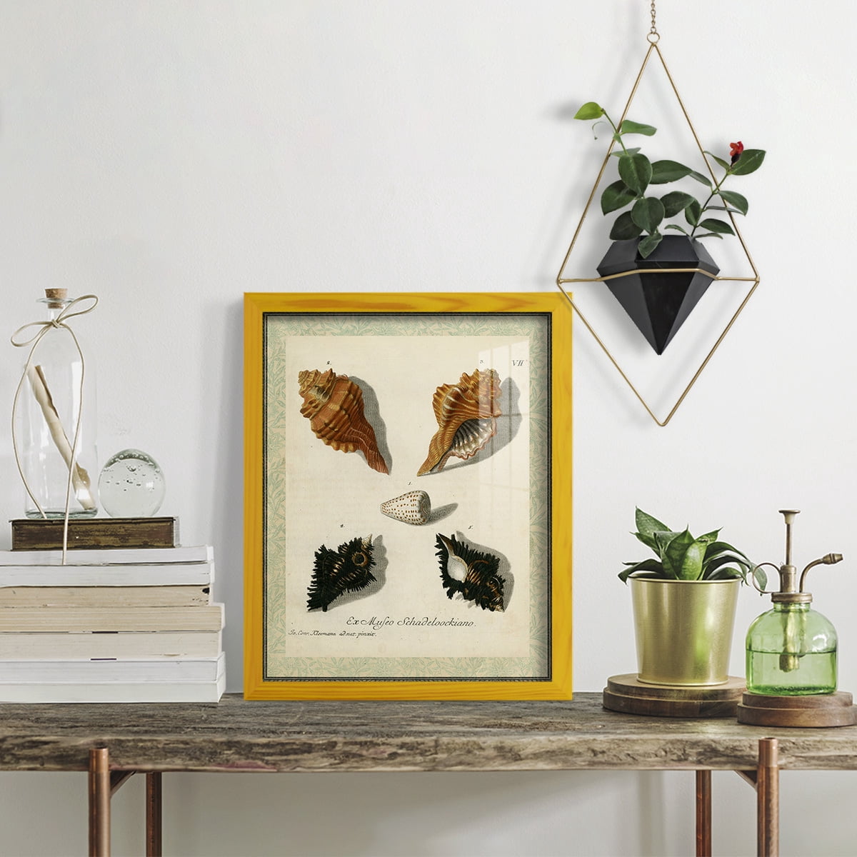 Bookplate Shells I - Framed Print w/glass - Sunflower Yellow