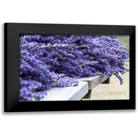 Styber, Dana 14x11 Black Modern Framed Museum Art Print Titled - Lavender Harvest I