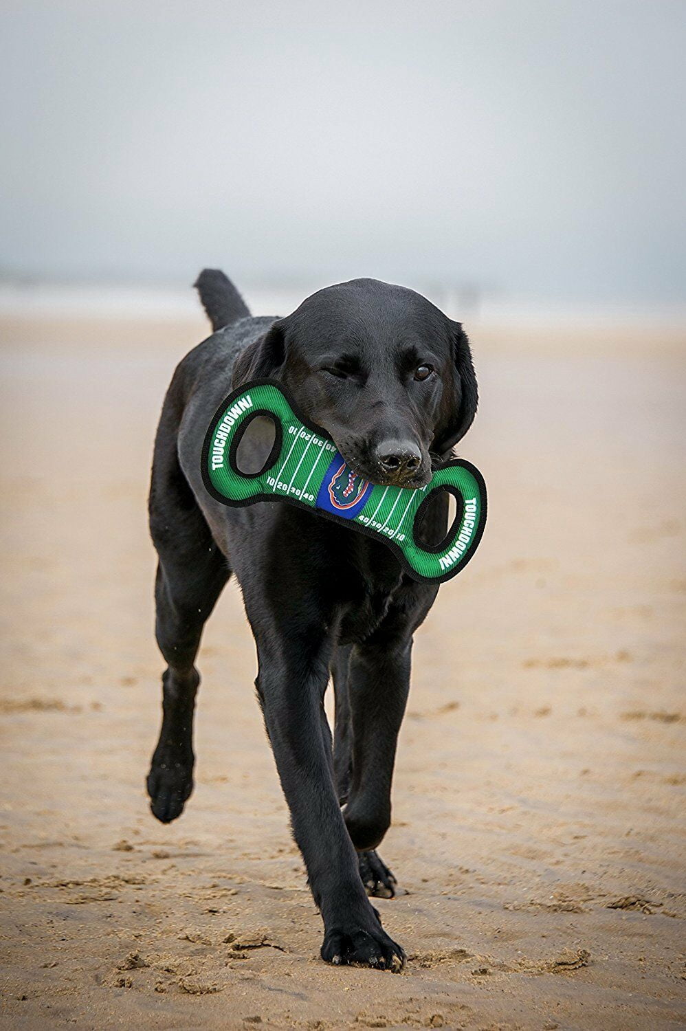 Pets First Collegiate Florida Field Toy-Licensed