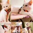 thumbnail image 2 of Arnés de malla ajustable de poliéster para gatos, chaleco para caminar, correa de plomo para cachorros, Collar para perros pequeños y medianos, accesorios para mascotas, 2 of 5