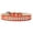 Orange, variant on Dog, Puppy  Pet Ice Cream Collar, "Two Row Pearl Rimsets"