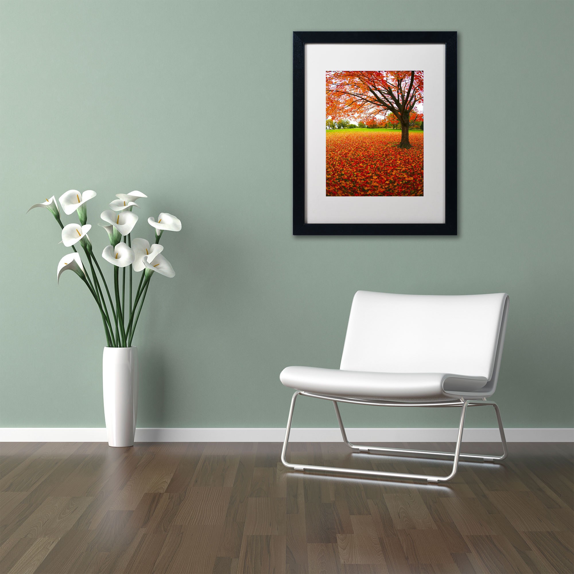 Trademark Fine Art "Autumn Expressions" Canvas Art by CATeyes, White Matte, Black Frame