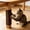 Brown, variant on Cat Scratch Protector,Furniture Scratch Guards,Adhesive Cat Scratch Mat,Trimmable,Wall Protector,Door Protector,Couch Protector,Sisal-like Texture,Indoor,Outdoor,Various Colors