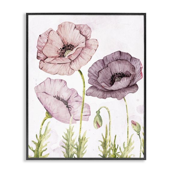 Stupell Industries Poppies Trio in Garden Plants & Flowers Painting Black Framed Art Print Wall Art, 11 x 14
