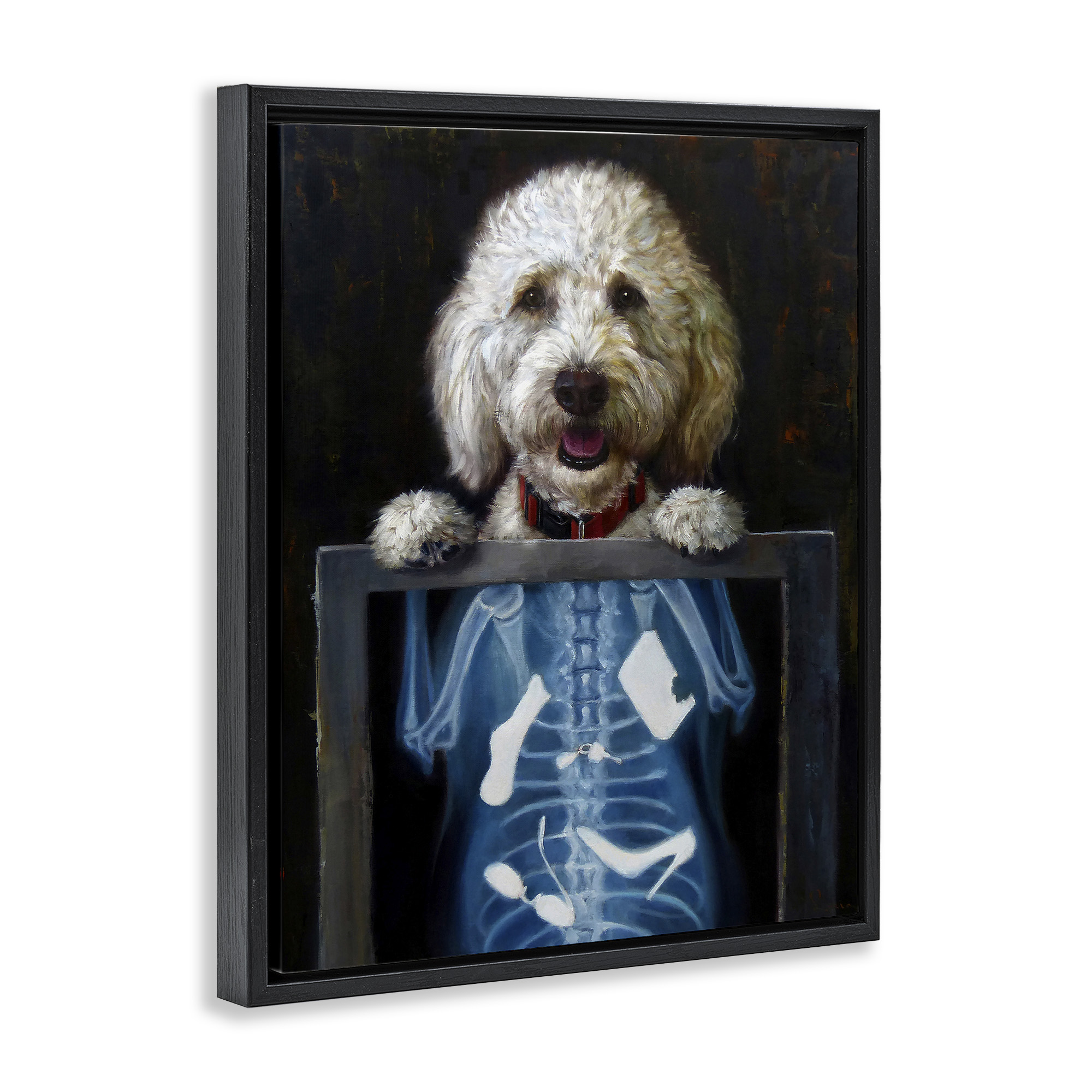 Stupell Industries Funny Dog X-Ray Snacks Animals & Insects Painting Black Floater Framed Art Print Wall Art