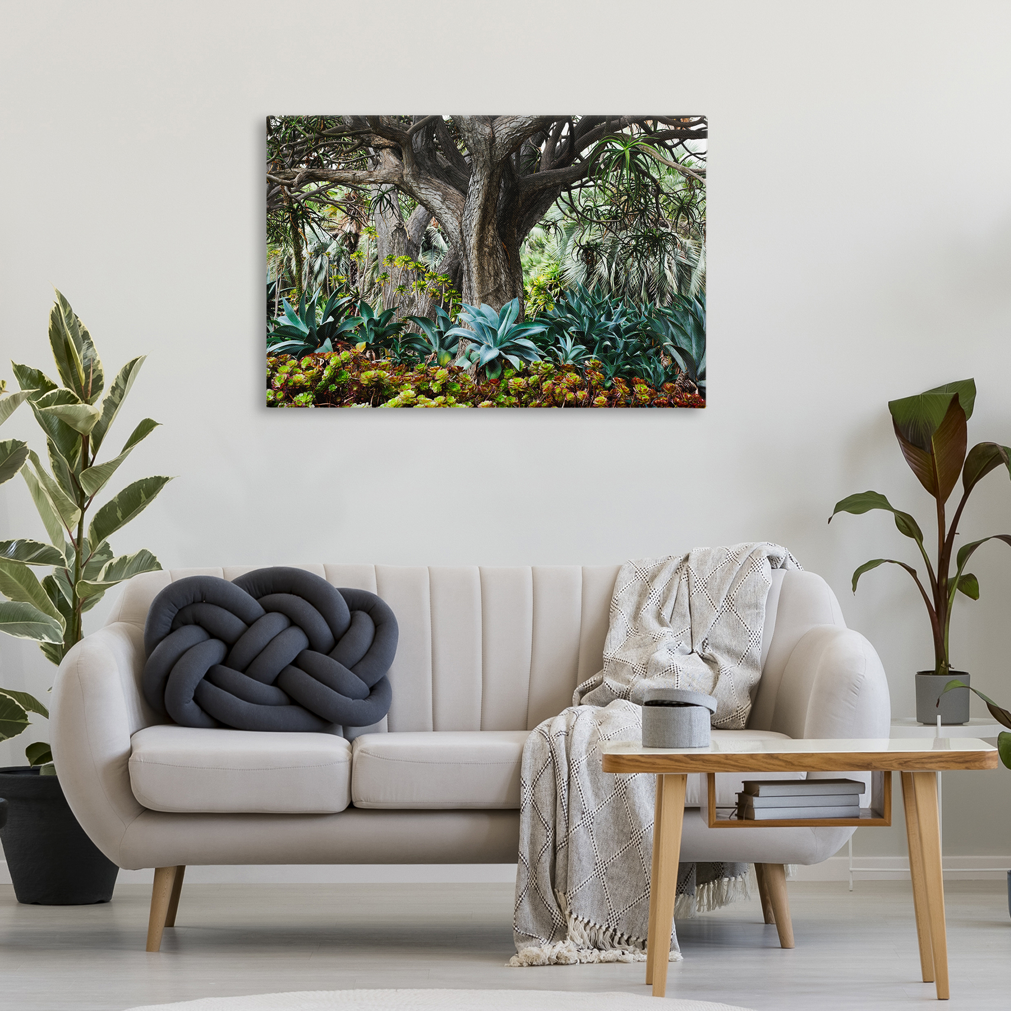 Stupell Industries Lush Tropical Vegetation Landscape & Nature Photography Wrapped Canvas Art Print Wall Art, 36 x 24