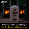 thumbnail image 3 of Pete & Pedro HYDRATE – Hydrating Moisturizing Argan Oil Shampoo, 8.5 oz., 3 of 6
