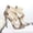Khaki, variant on EQWLJWE Womens Open Toe Ankle Strap Chunky Block High Heel Dress Party Pump Sandals