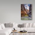 thumbnail image 3 of Trademark Fine Art 'Virgin River Zion' Canvas Art by Pierre Leclerc, 3 of 3