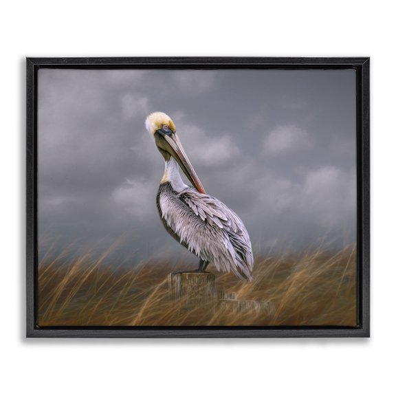 Stupell Industries Coastal Wildlife Pelican Bird Cloudy Sky Black Floating Frame Canvas Art, 21 x 17, by Kelley Parker