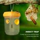 thumbnail image 4 of 5X Fly Wasp Trap Fruta Moscas Insecto Insecto Colgando Árbol Honey Catcher Killer Tmvgtek Oficina Multiescena Multifunción, 4 of 9