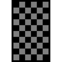 Geetinfly 10FT Area Rugs 320Gsm Pp Tube Plastic Woven Outdoor Carpet - Modern - Checkerboard BlackGray