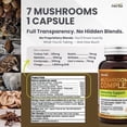 thumbnail image 4 of Herba Mushroom Complex Supplements with Lions Mane - 120 Capsules | Made in Canada, 4 of 9