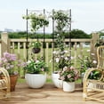 thumbnail image 4 of Bingirl 2 Pcs Black Metal Garden Trellis - Rustproof Support for Climbing Roses, Vines, Vegetables, and Flowers, 4 of 6