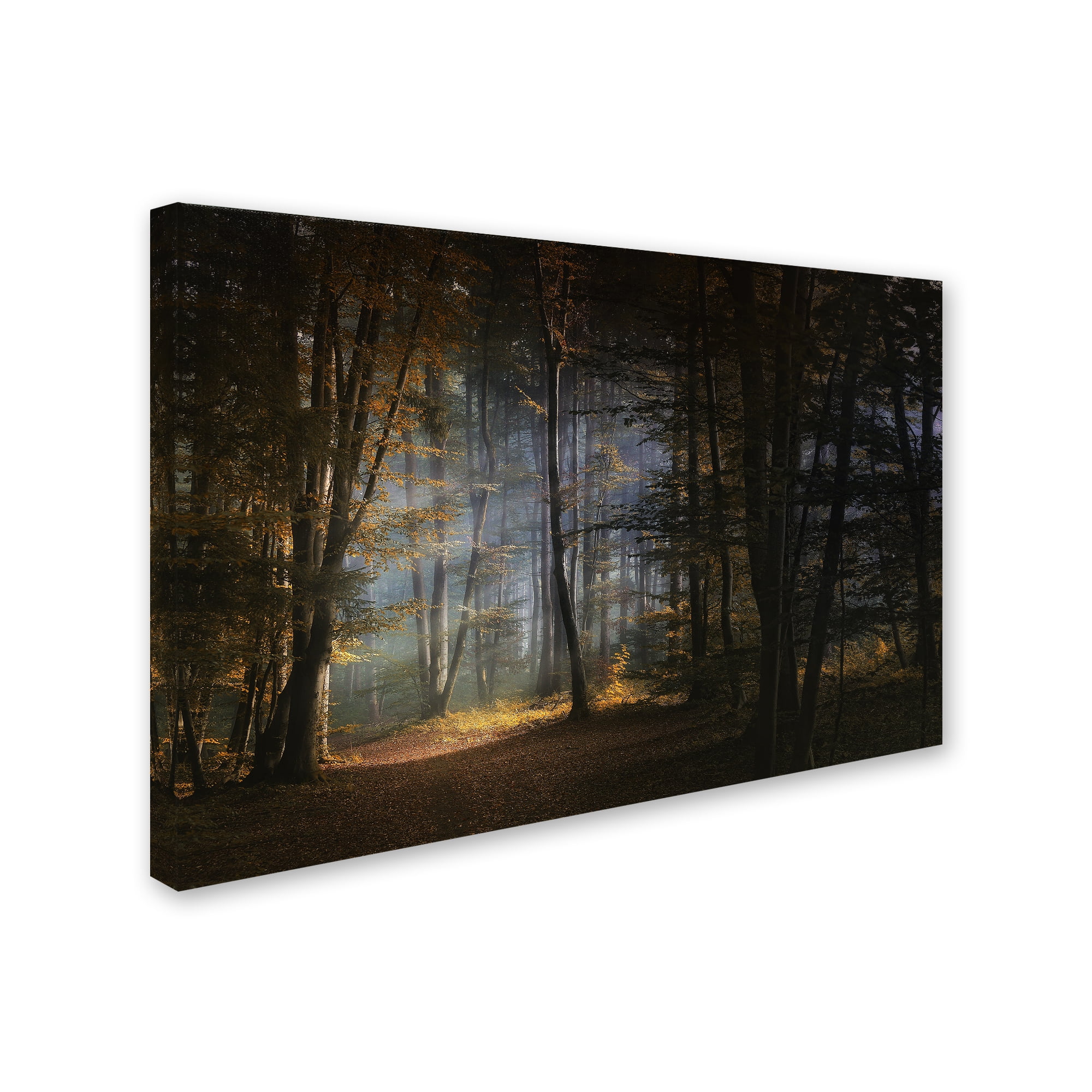 Norbert Maier 'November Morning' Canvas Art