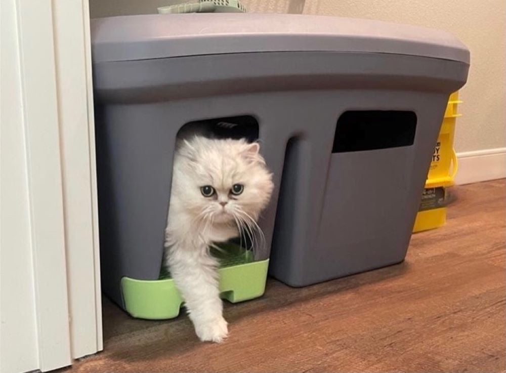 The Grate Litter Box