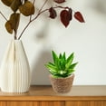 thumbnail image 6 of UPOUART Handmade Woven Plant Basket Set of 2 - Indoor Plant Holders for Living Room, Bedroom, Home Decor and Stylish Storage, 6 of 8