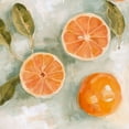 thumbnail image 3 of Scarvey, Emma 20x20 Black Modern Framed Museum Art Print Titled - Fresh Citrus III, 3 of 5