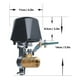 thumbnail image 5 of Cateissary Controlador de válvula inteligente Tuya Wifi/Zigbee para tubería de y agua apagado automático Compatible con asistente de Electrodomésticos, 5 of 6
