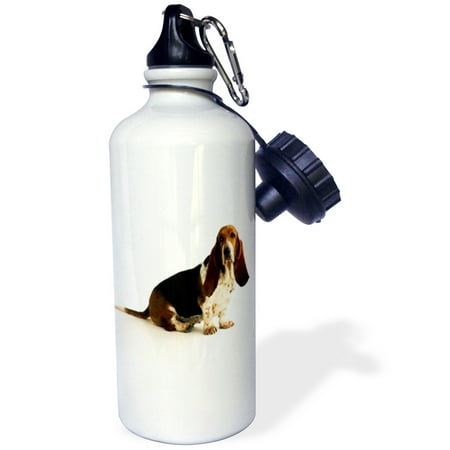 

3dRose Handsome Basset Hound Sports Water Bottle 21oz