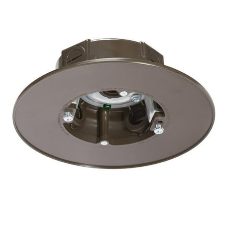 Bronze Weatherproof Ceiling Fan And Luminaire Box