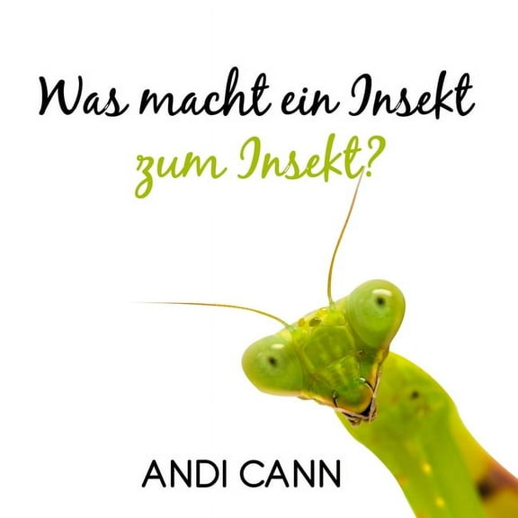 Was macht ein Insekt zum Insekt (Paperback)