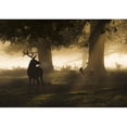 thumbnail image 2 of Wall26 Male red deer looking a group of fallow deer running - Removable Wall Mural | Self-adhesive Large Wallpaper - 66x96 inches, 2 of 5