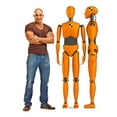 thumbnail image 3 of Crash Test Dummies (Two for One), 3 of 3