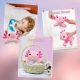 thumbnail image 3 of Axolotl Plush Toys 10.5' Soft Cute Axolotl Stuffed Animal, Kawaii Axolotl Plushie Pillow Doll, Pink Axolotl Plush Toy Cute Axolotl Plush Toy Pillow F, 3 of 5