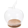 thumbnail image 1 of 1 Ensemble de Dôme en Verre Transparent Forme de Pomme Fleur Préservée avec Plateau en Liège, 1 of 9