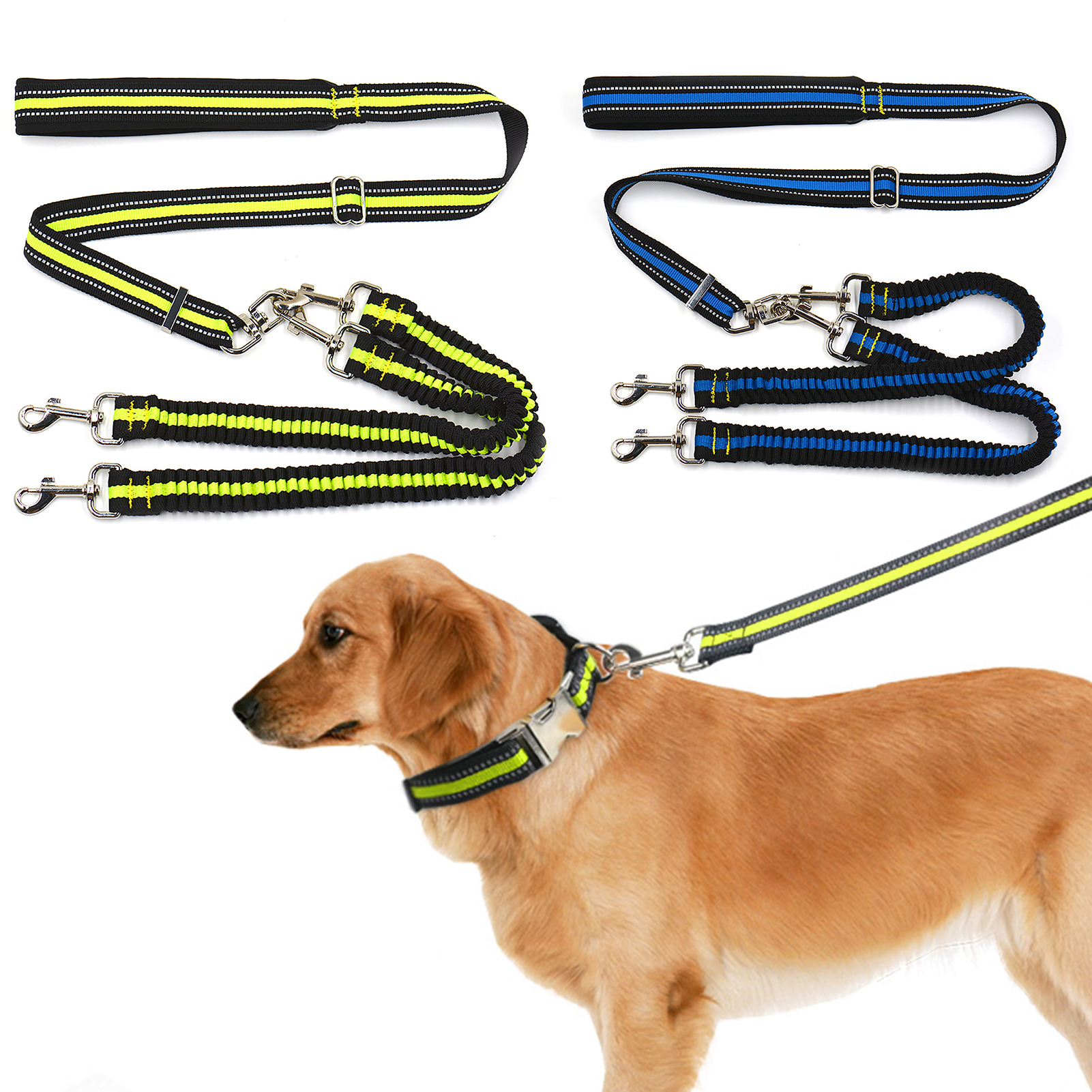 Should Dogs Be On A Lead In Parks