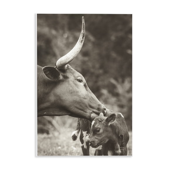 Stupell Industries Longhorn Kissing Baby Animals Photography Unframed Art Print Wall Art, 10 x 15