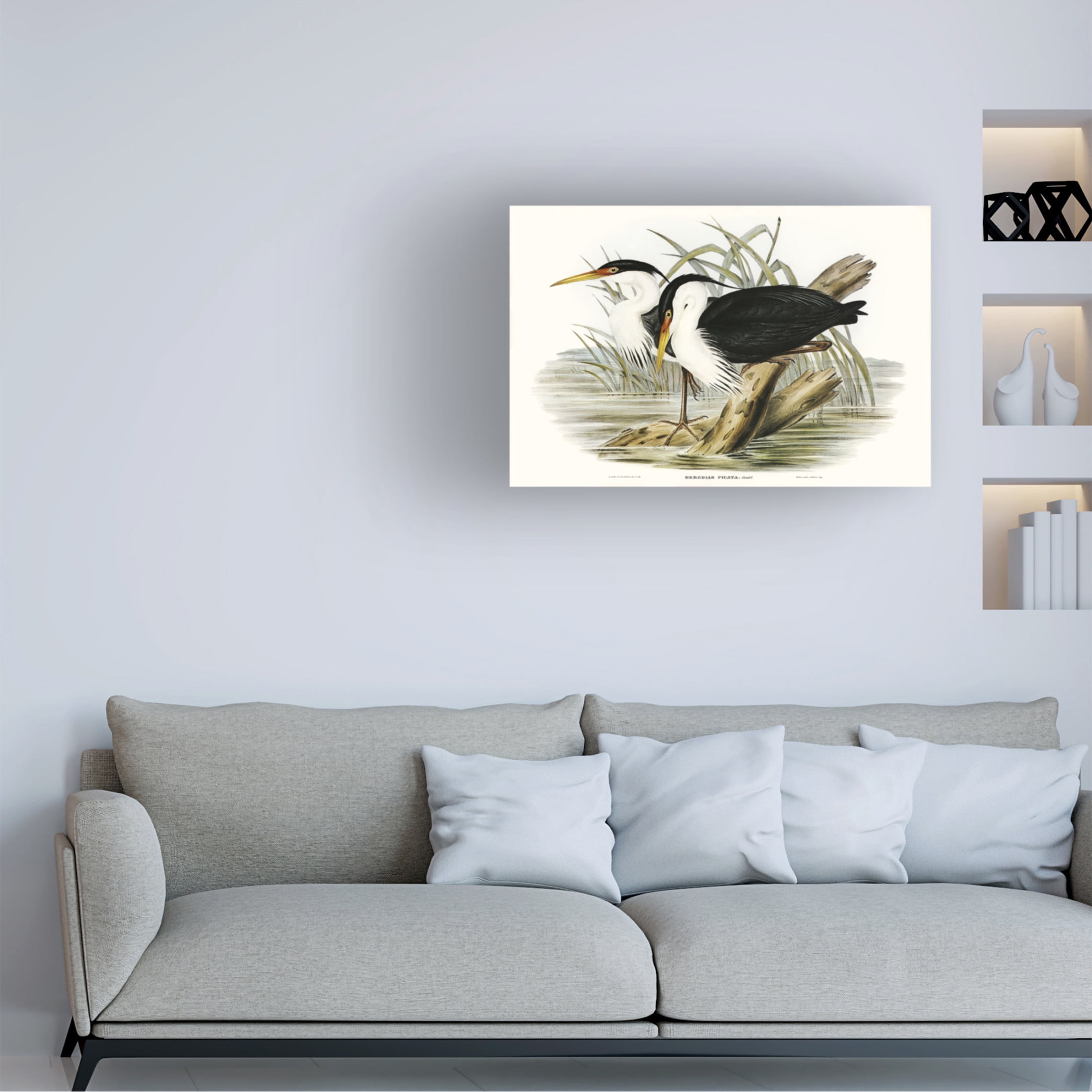 Trademark Fine Art Elizabeth Gould Waterbird Pairing II Canvas Wall Art
