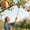 thumbnail image 5 of Fruit Tree Branch Bracket Tree Metal Tree Bracket Reusable Metal Tree Branch Bracket Fruit Tree Vegetable Tree Bracket, 5 of 5
