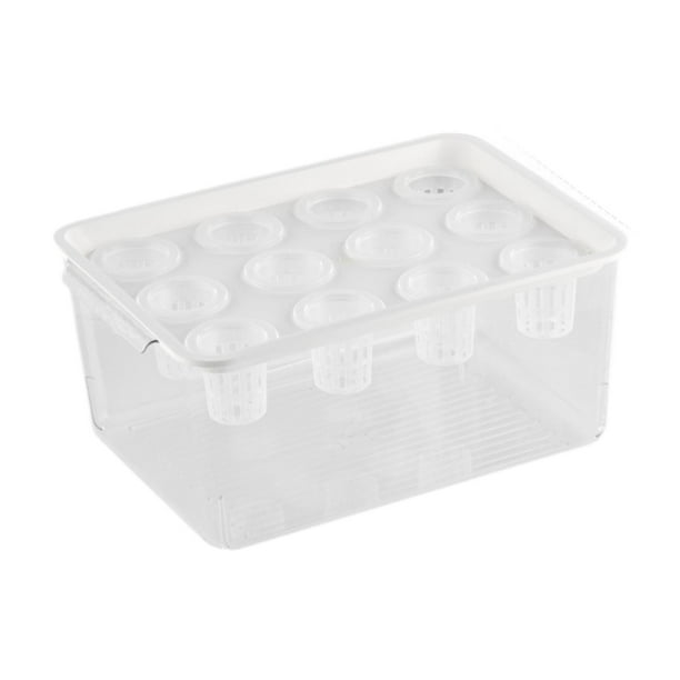 Caja de hidropónico, contenedor de plantación para hidropónico de 12 orificios, práctico