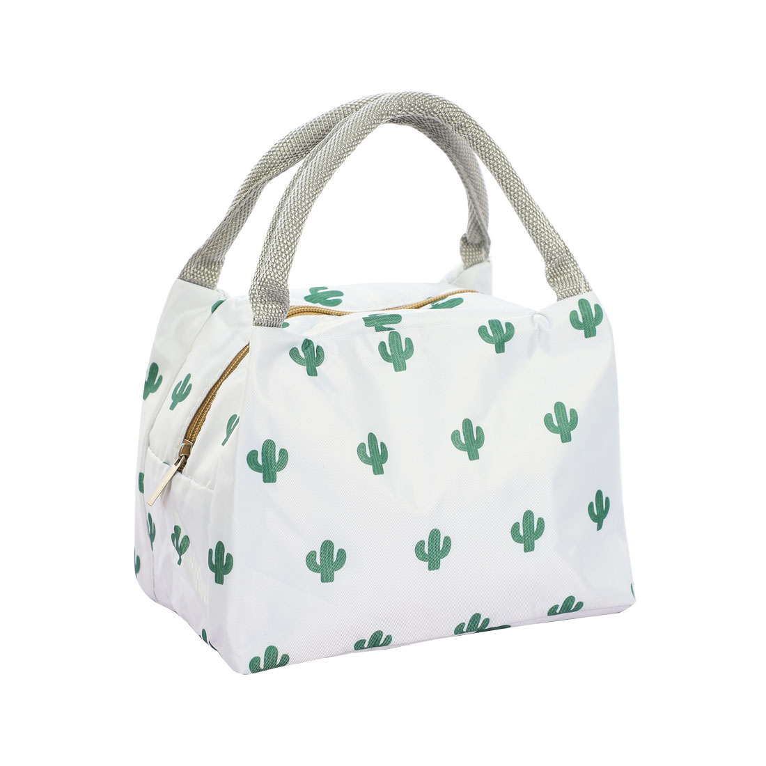 cactus lunch bag
