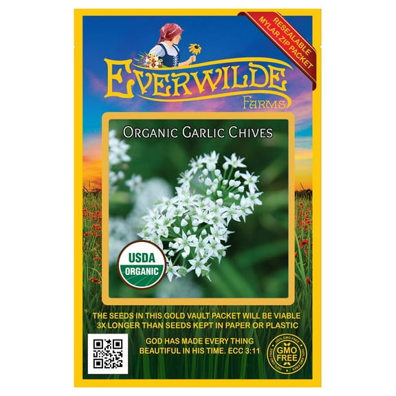 Everwilde Farms - 500 Organic Garlic Chives Herb Seeds - Gold Vault Jumbo Bulk Seed Packet