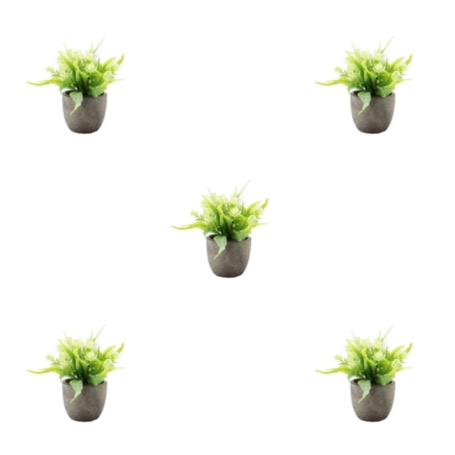 kurtrusly Realistic Artificial Succulent Low Maintenance Elegant Easy To Clean Artificial Money Tree In Pot white rose 5Set