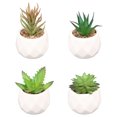 thumbnail image 1 of Plantas en maceta con formas-Decoraciones de oficina plantas en maceta Ormromra CPB-YL619-2, 1 of 5