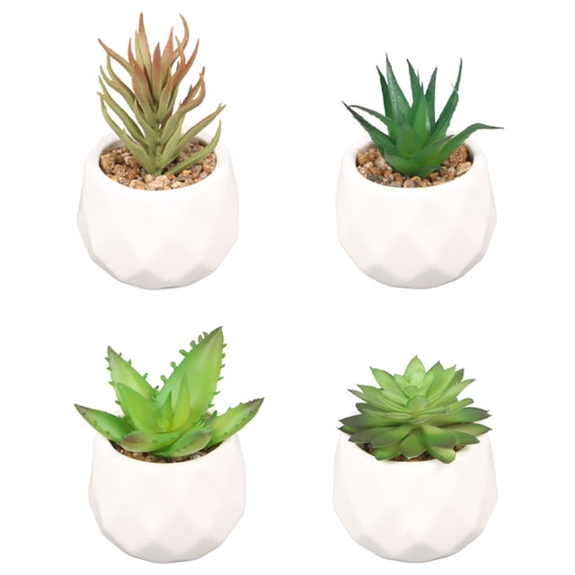 Plantas en maceta con formas-Decoraciones de oficina plantas en maceta Ormromra CPB-YL619-2