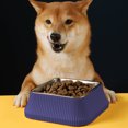 thumbnail image 5 of Roman Column Stainless Steel Pet Bowl With Removable Inner Bowl And Non-s Lip Base, 5 of 5