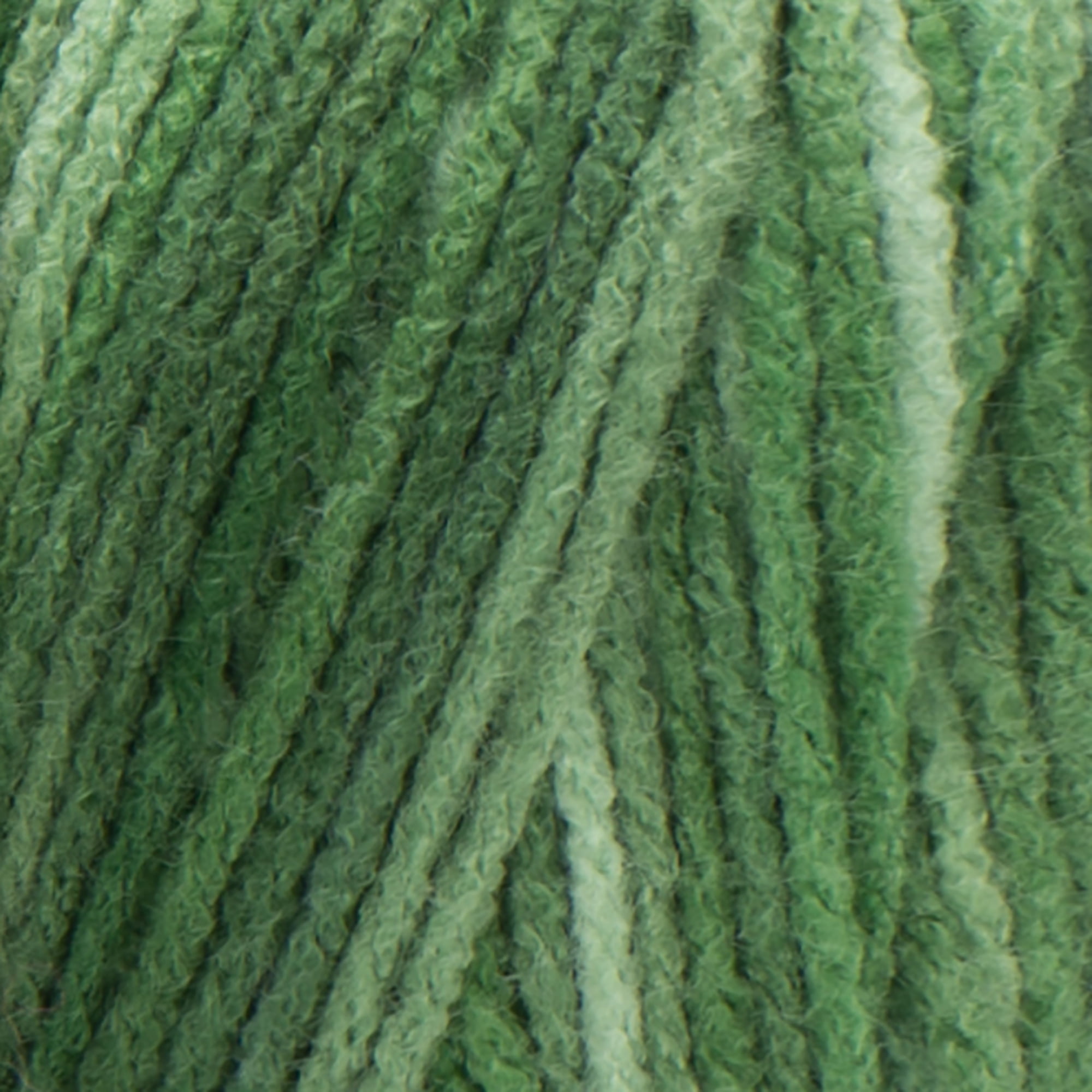 Red Heart® Super Saver® #4 Worsted Acrylic Yarn, Green tones 5oz/142g 364yd (3Pk)