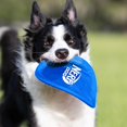 thumbnail image 2 of shiyou-Nylon Jouet pour Chien Disque Volant, Grand, Bleu, 2 of 4