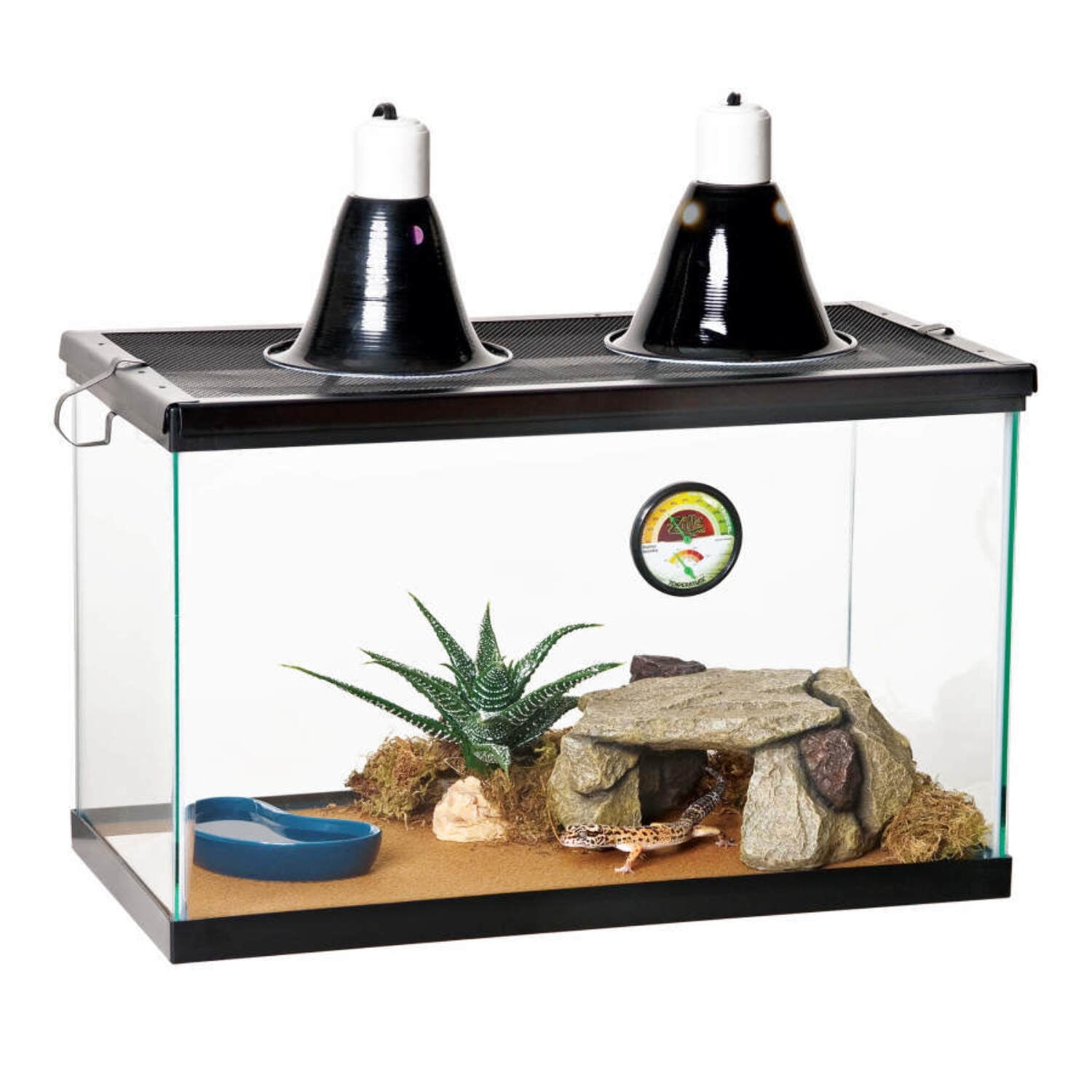 Zilla Desert Reptile Terrarium Starter Kit
