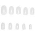 thumbnail image 4 of KAKOWELY 1Jgo Postizas Transparentes Con Calcomanías Para Manicura Seguras Y Fáciles De Usar En Cualquier Ocasión, 4 of 4