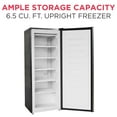 thumbnail image 2 of Frigidaire Platinum Silver 6.5 Cu. ft. Upright Freezer, EFRF698, 2 of 16