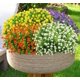 thumbnail image 1 of Mini arbusto de rosas artificiales, simulación de eucalipto, hierba, hojas verdes, plantas de plástico para interior y exterior, hogar, jardín, oficina, baño, terraza, decoración de bodas, relleno de, 1 of 3