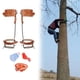 thumbnail image 4 of Seguridad Escalada Picos de árboles Cinturón de cuero Herramienta de espolón de acero inoxidable Adecuado para registro de gran altitud Recolección de Cuero completo 1 engranaje A Macarena Espiga trepadora de árboles, 4 of 8