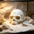 thumbnail image 4 of Cififendec Halloween Aquarium Skull Ornament, 3.93"×3.46", Plastic Hideout Cave for Fish Tank Reptile Terrarium Turtle Lizard Shrimp Hiding Decor, 4 of 6
