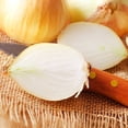thumbnail image 2 of Van Zyverden Onion Sets Yellow Set of 250 Bulbs White Full Sun Perennial Fragrant 2 lbs, 2 of 6